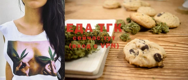 тгк Абаза