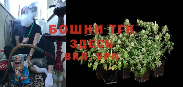 тгк Абаза