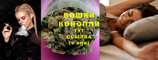 шишки Алзамай