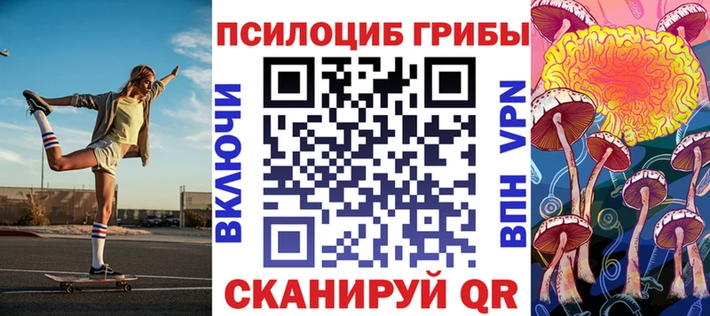 где найти   darknet официальный сайт  Галлюциногенные грибы мицелий  Нелидово 
